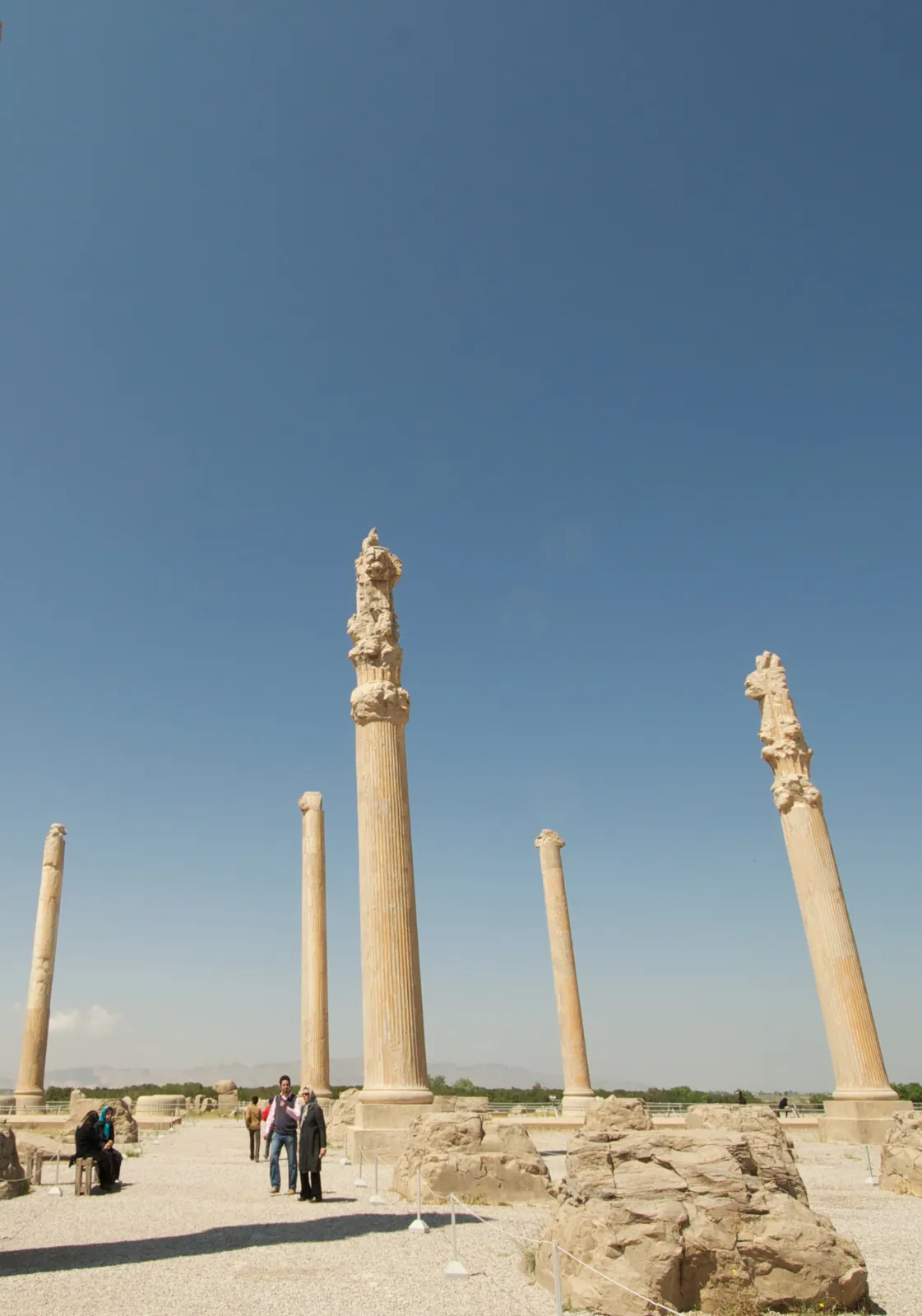 Surviving columns of the Apadana audience hall at Persepolis, the great ceremonial palace begun by Darius I and completed by Xerxes I — once thirty-six columns some twenty metres high.