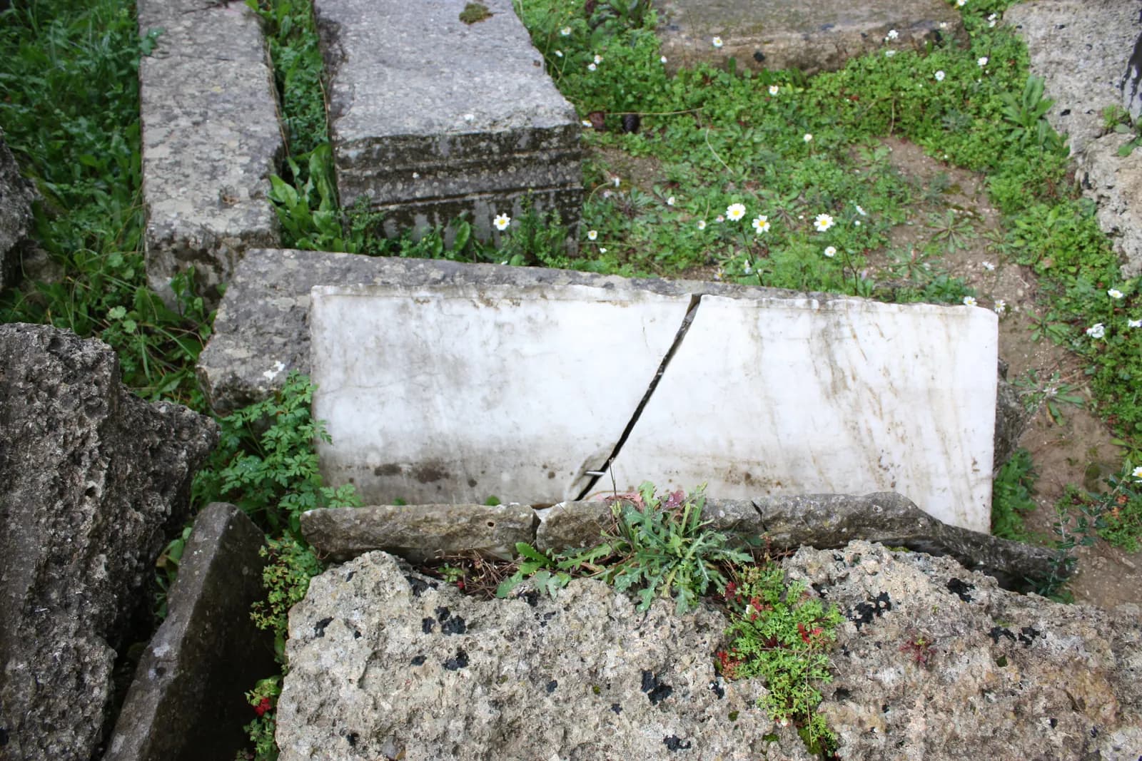 Massive stone column drums lying in a row where they fell, among grass and trees.